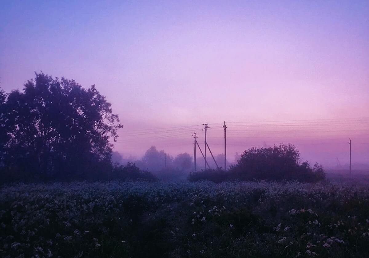 爱游戏平台体验-1.5万人竞逐上海半马  许双双卫冕中国女子第一|上海半程马拉松|赛事|赛道|比赛|田联_新浪体育_新浪新闻